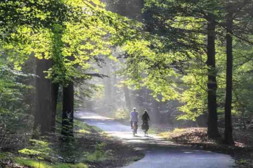 Chalet Toetje Op De Veluwe Hoenderloo Exteriör bild