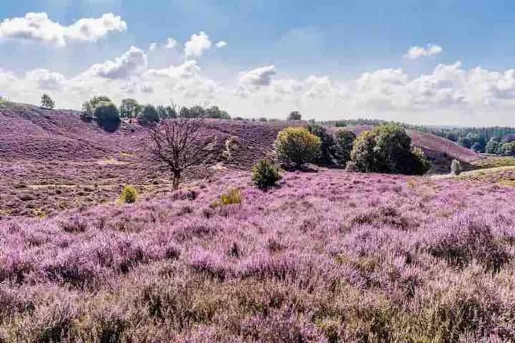 Chalet Toetje Op De Veluwe Hoenderloo Exteriör bild